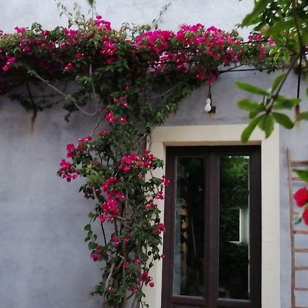 Aci Bonaccorsi Il Melograno Dell'Etna 빌라 외부 사진