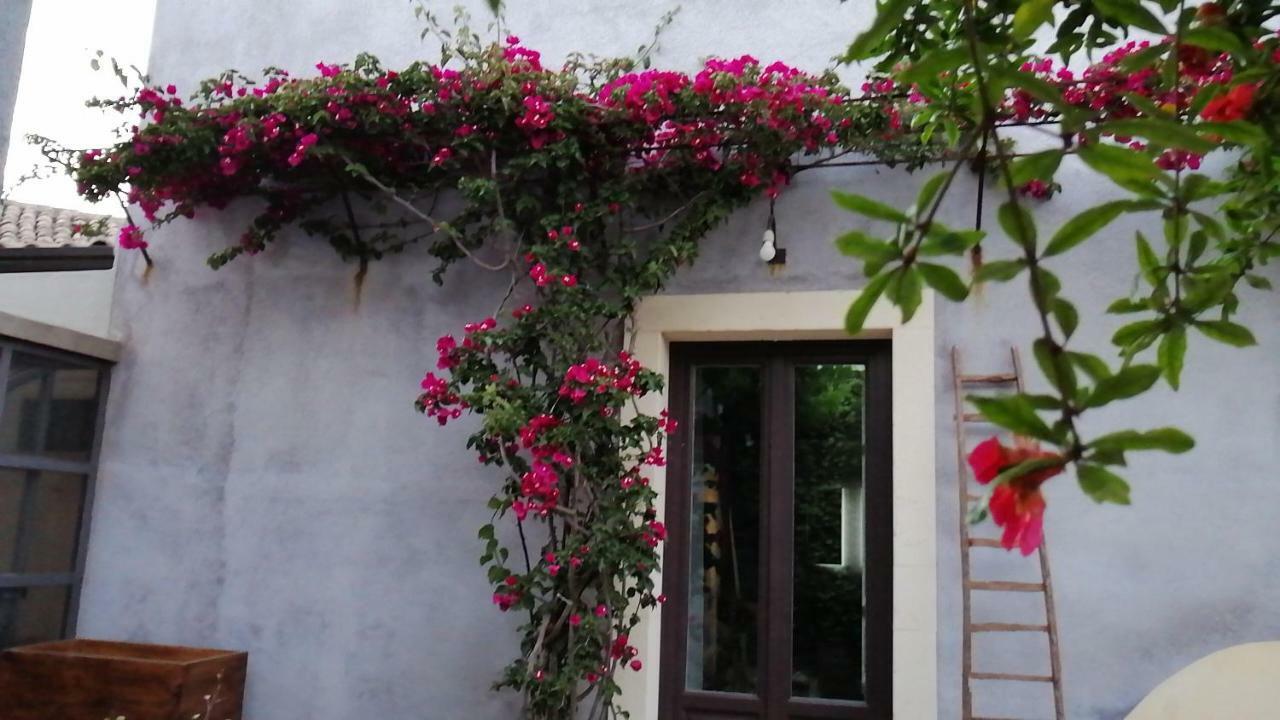 Aci Bonaccorsi Il Melograno Dell'Etna 빌라 외부 사진
